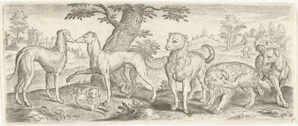 Dogs Animals (series title)