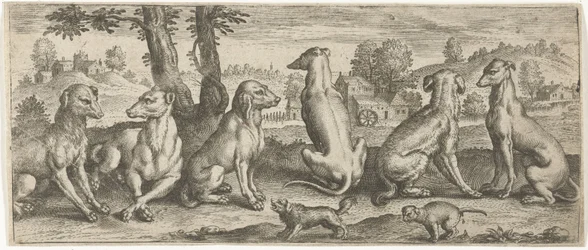 Dogs