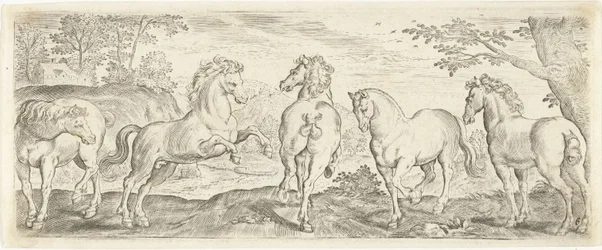 Horses