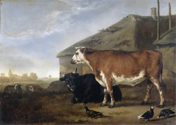Cattle