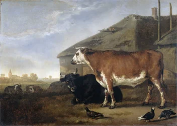 Cattle