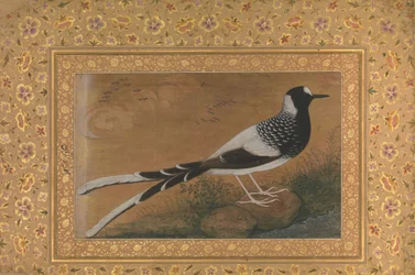 Spotted Forktail, Folio from the Shah Jahan Album, recto: ca. 1610-15, verso ca. 1540