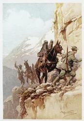 Alpine Artillery - Courier Sunday