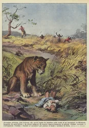African Adventures