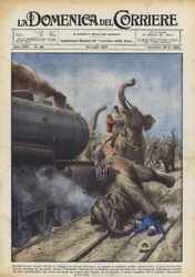 Colossus Against Colossi