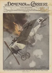 How an Air Raid Was Punished, the End of an Austrian Airplane Hit by Our Fire