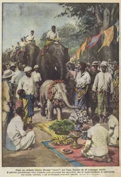How a White Elephant Becomes Sacred, in Siam