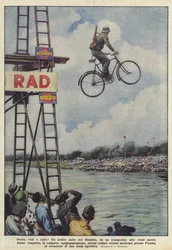 Race, Flight, and Dive!