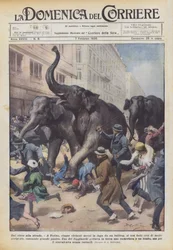 From the Circus to the Street