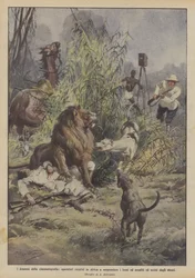 The Dramas of Cinematography, Operators Go to Africa to Capture Lions and Are Attacked