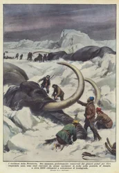 The Witnesses of Prehistory