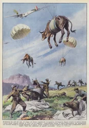 The cattle that fall from the sky