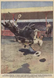The Famous Calgary Stampede