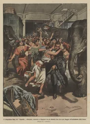 Telegraphist Bins of the Sunken Republic Forced to Take Refuge Among Circus Elephants