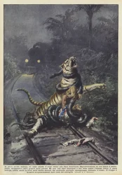 In the middle of the Indian forest, a man waits for the train near the railway line