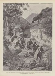 The End of Banditry in the District of Nuoro (Sardinia), The Bloody Conflict in the Morgogliai Forest