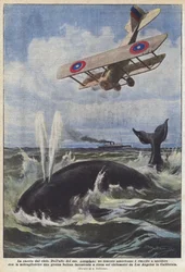 Hunting from the Sky