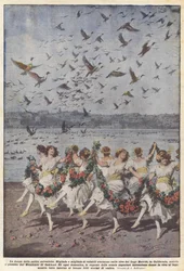The Dance of the Wild Ducks