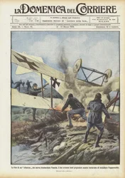 The End of an Albatross That Bombed Venice