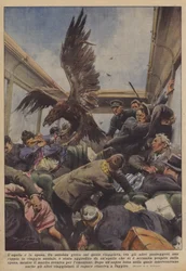 The Eagle and the Bride