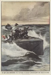 The Vigilant Sentries of the Adriatic