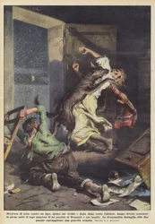 Half an Hour of Struggle Against a Wolf, Driven by Cold and Hunger Towards the Inhabited Area