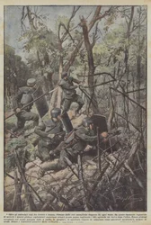 In Addition to the Barbed Wire Stretched Between Trunks, There Were Metal Nets Arranged in Every Direction