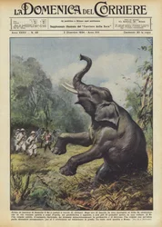 Before Leaving Somalia, the King Went Elephant Hunting