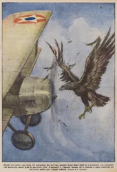 Strange Adventures in the Sky