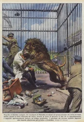 Tragedy at the Zoo