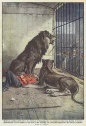 A Drunk Watched Over by Beasts