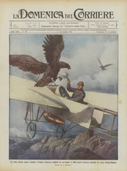 An Unprecedented Event: French Aviator Attacked by an Eagle at 2000 Meters Altitude