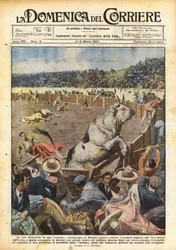 An Invincible Bull in an Exciting Bullfight in Mexico