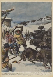 A Village Besieged by Oxen