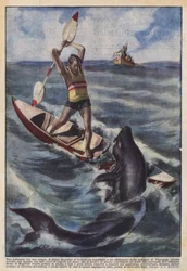 A Battle with a Shark