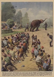 An Exceptional Race