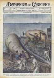 A gigantic undertaking is being attempted in England, the recovery of the German war fleet