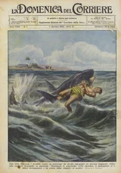 A Desperate and Terrible Struggle Against a Shark Was Fought by a Young Swimmer...