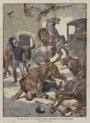 A Scene of Terror in a Menagerie in Moscow Following the Escape of Lions from the Cage