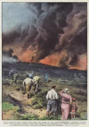 Violent Forest Fires Caused by Drought in Various Locations