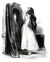 Madame Bovary, for Gustave Flaubert