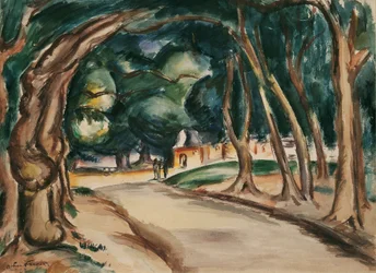 Avenue