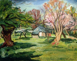 House in a Meadow