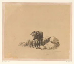 Standing Donkey in Front of a Lying Dog and a Sleeping Man