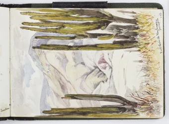 Sketchbook of watercolours, Drawings and Notes, Mexico, 1896-1898