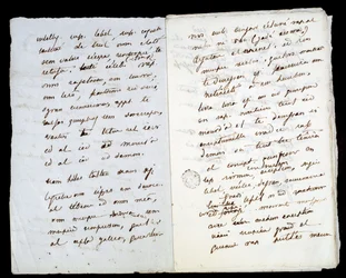 Autograph Manuscript by Adele Hugo