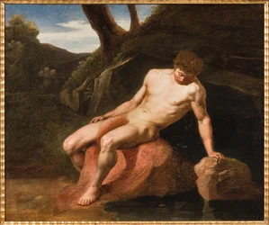 Narcissus