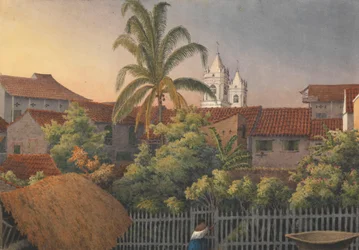 From a Back Window in Panama, March 10th 1850