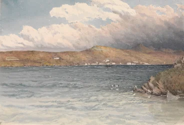 Settlement at Port Stanley, Falkland Islands, May 1849