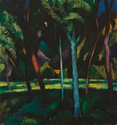 Summer Evening